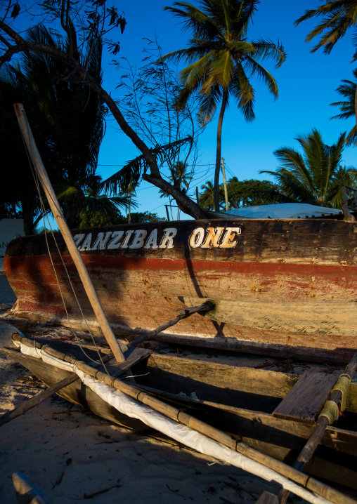 Tanzania, Zanzibar, Kizimkazi, an old wooden fishing dhow resting on a sandy beach between palm trees