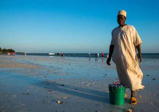 Tanzania, Zanzibar, Kizimkazi, muslim man collecting fishes on a beach