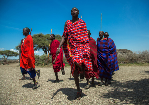 Tanzania, Ashura region, Ngorongoro Conservation Area, maasai men performing the warriors' dance
