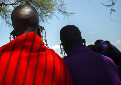 Tanzania, Ashura region, Ngorongoro Conservation Area, maasai beaded earring worn by women