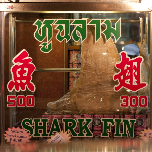 Shark fin in a restaurant, Bangkok thailand