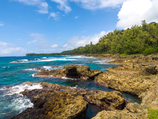 Rocky shore, Shefa Province, Efate island, Vanuatu