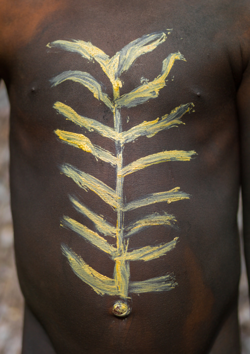 Tribal makeup on the chest of a boy during the palm tree dance of the Small Nambas tribe, Malekula island, Gortiengser, Vanuatu