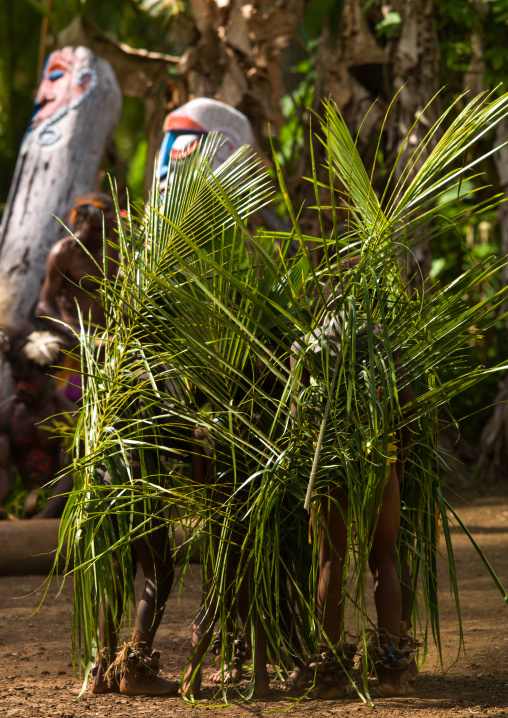 Small Nambas children covered with palm leaves dancing in front of slit gong drums during the palm tree dance, Malekula island, Gortiengser, Vanuatu