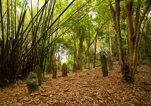 Amelbati site of former cannibal ceremonies, Malampa Province, Malekula Island, Vanuatu