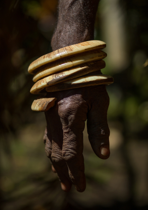Circular pig tusks used as bracelets by a Ni-Vanuatu man, Ambrym island, Fanla, Vanuatu
