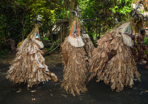 Tribesmen dressed in colorful masks and costumes made from the leaves of banana trees performing a Rom dance, Ambrym island, Fanla, Vanuatu