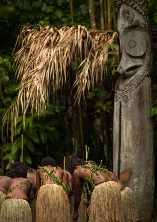 Women with grass skirts performing a Rom dance in front of a giant drum slit, Ambrym island, Olal, Vanuatu