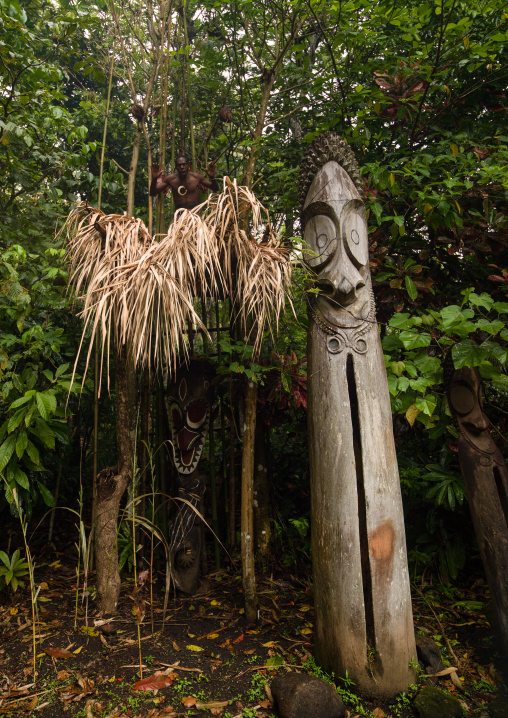 Slit gong drum in the jungle on a ceremonial ground called nasara, Ambrym island, Olal, Vanuatu