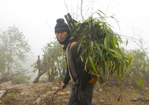 Man of the flower hmong tribe carrying leaves on his back, Sapa, Vietnam
