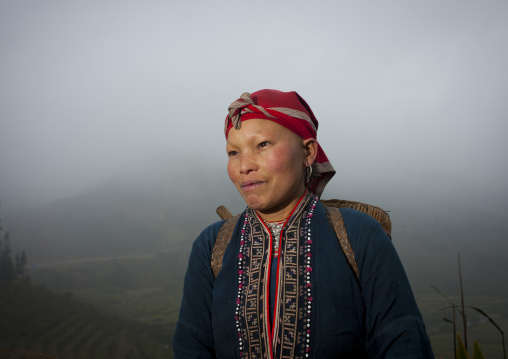 Flower hmong woman carrying a basket on her back, Sapa, Vietnam