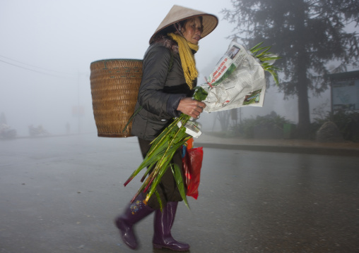 Old woman with sedge hat carrying bamboo branches, Sapa market, Vietnam