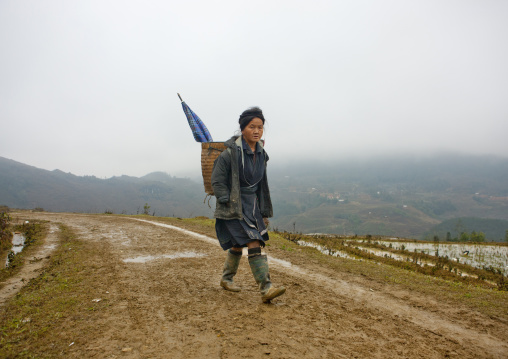 Black hmong boy with an umbrella in the basket carrying on his back, Sapa, Vietnam