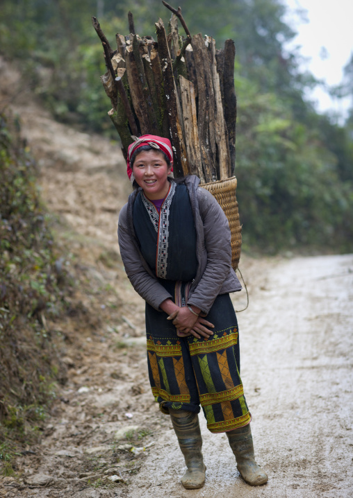 Red dzao woman carrying wood in a basket on her back, Sapa, Vietnam