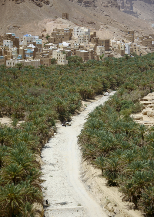 Prospect Of Wadi Doan Covered By Palm Trees And Buildings, Hadramaut, Yemen