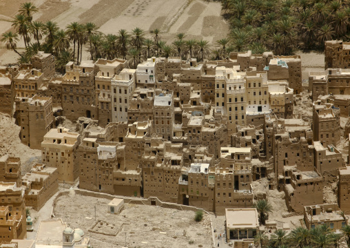 Aerial View Over Houses In An Oasis, Wadi Doan, Yemen