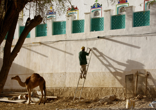Man On A Ladder Painting The Wall Of A House Decorated With Colourful Paintings, And Camel Standing By, Yemen