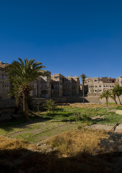 Sanaa Gardens In Old Town Surrounded By Traditionnally  Buildings, Yemen