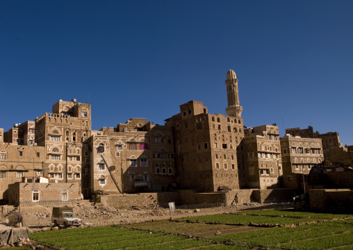 Sanaa Gardens In Old Town Surrounded By Storeyed Tower Houses Built Of Rammed Earth, Sanaa, Yemen