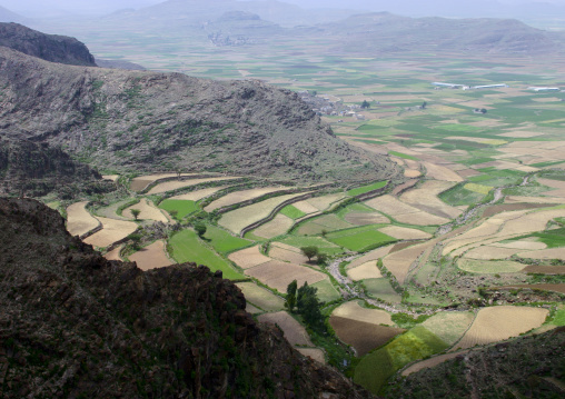 Terrace Farming At The Bottom Of The Mountain, Ibb,  Yemen