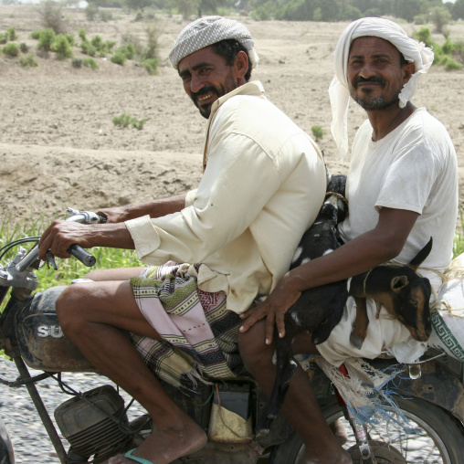 Two Smiling Men And A Goat On A Rusty Suzuki Motorbike, Yemen