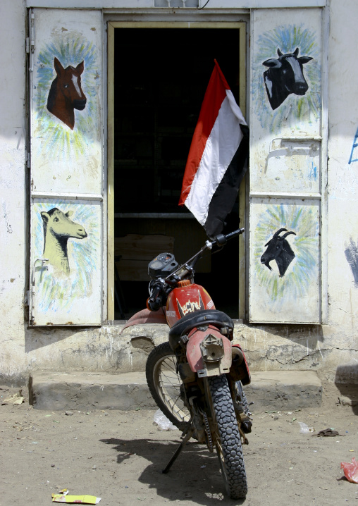 Motocross Parked In Front Of A Shop With Animals Painted On The Doors And A Yemeni Flag, Zabid, Yemen