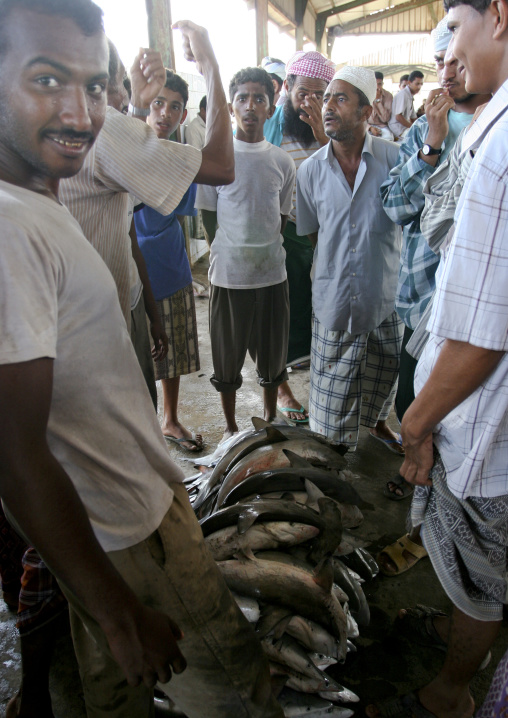 Fishermen Gathering Around A Pile Of Sharks In Al Hodeidah Fish Market, Yemen