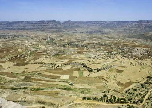 Terraces planted with cereals, Amran Governorate, Hababah, Yemen