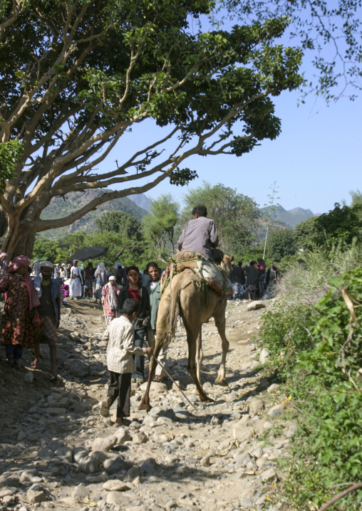 Man riding a camel in a market, Amran Governorate, Hababah, Yemen