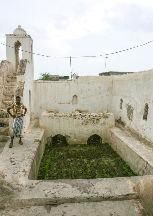 Old mosque in the citadel, Al Hudaydah Governorate, Zabid, Yemen