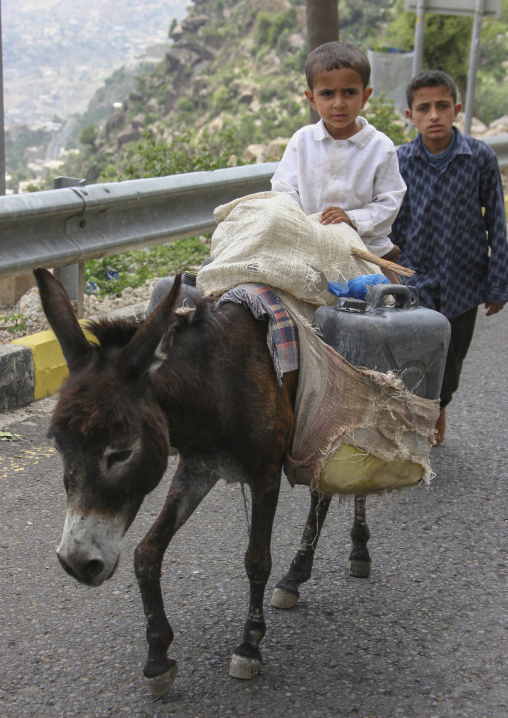 Yemeni boy riding a donkey on a road, Janad Region, Taiz, Yemen