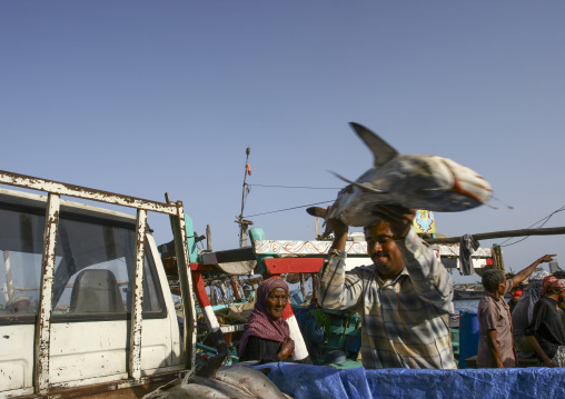 Shark market, Al Hudaydah Governorate, Hodeidah, Yemen