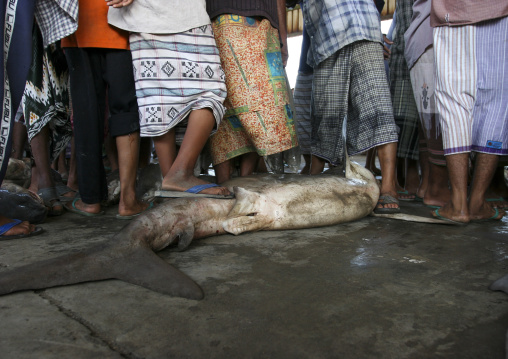 Shark market auction, Al Hudaydah Governorate, Hodeidah, Yemen