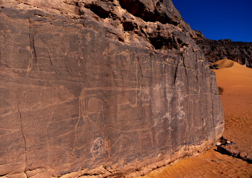 Rock carvings depicting cows, Tassili N'Ajjer National Park, Tadrart Rouge, Algeria