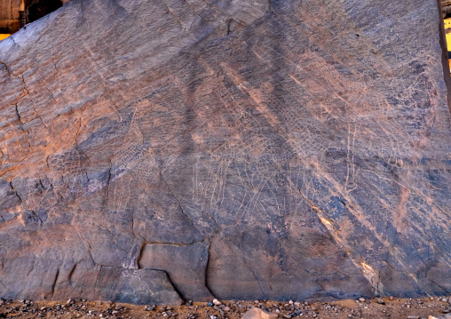 Rock carvings depicting giraffes, Tassili N'Ajjer National Park, Tadrart Rouge, Algeria