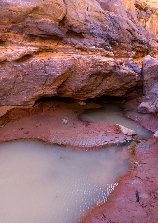 Waterhole in the desert, Tassili N'Ajjer National Park, Tadrart Rouge, Algeria