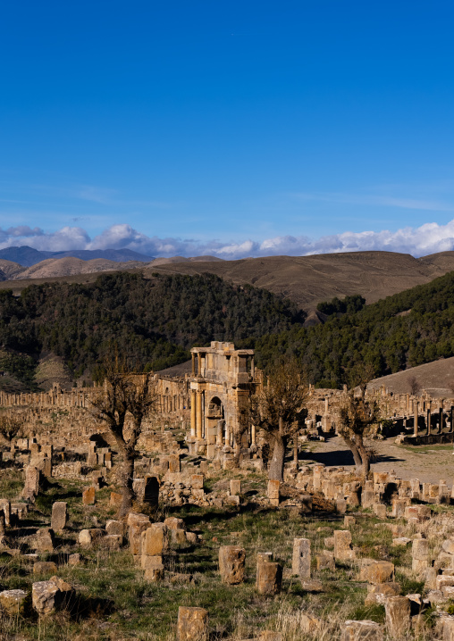 The Roman ruins of Djemila, North Africa, Djemila, Algeria