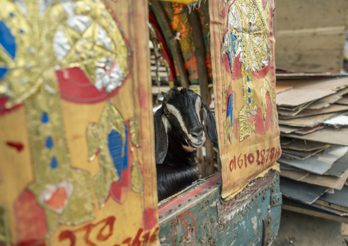 Decorated rickshaw, Dhaka Division, Dhaka, Bangladesh