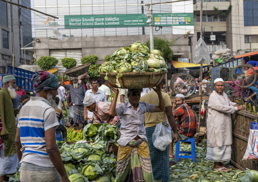 Cabbages at Kawran Bazar vegetables morning market, Dhaka Division, Dhaka, Bangladesh