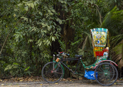 Side view of a parked rickshaw, Sylhet Division, Kamalganj, Bangladesh