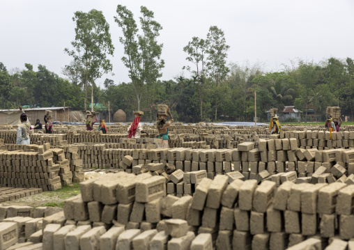 Workers carrying bricks on their heads at a brick factory, Sylhet Division, Bahubal, Bangladesh