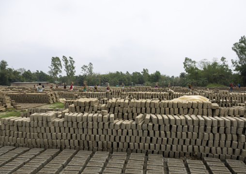 Workers carrying bricks on their heads at a brick factory, Sylhet Division, Bahubal, Bangladesh