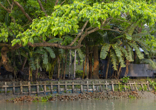 Protection from erosion along a river in Sundarbans, Barisal Division, Banaripara, Bangladesh