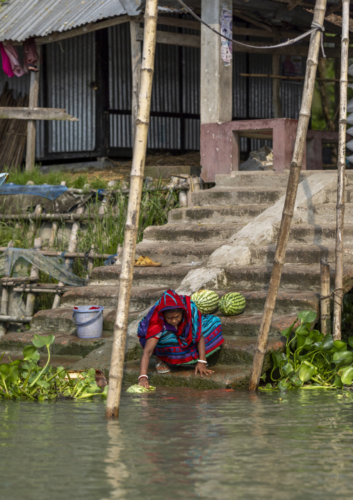Bangladeshi woman washing watermelons in the river in Sundarbans, Barisal Division, Harta, Bangladesh