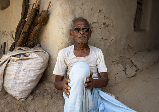 Bangladeshi old man sit near cow dungs on sticks used for fuel, Rajshahi Division, Naogaon Sadar, Bangladesh