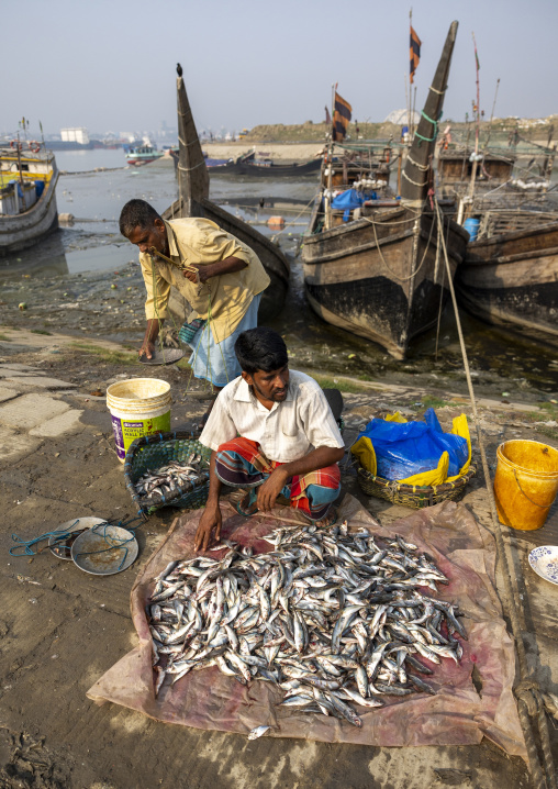 Bangladeshi man selling fishes in fish market, Chittagong Division, Chittagong, Bangladesh