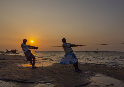Bangladeshi fishermen unloading fishes on the beach, Chittagong Division, Cox's Bazar Sadar, Bangladesh
