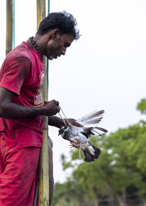 Man with a pigeon before a body suspension during Charak Puja, Sylhet Division, Kamalganj, Bangladesh