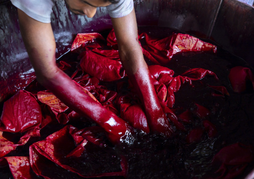 Bangladeshi man dyeing fabrics in red in a batik factory, Chittagong Division, Comilla, Bangladesh