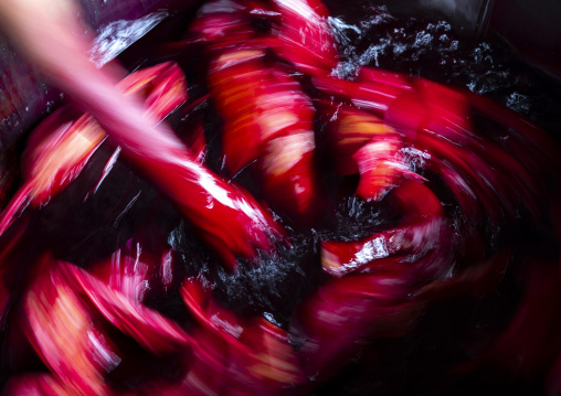 Bangladeshi man dyeing fabrics in red in a batik factory, Chittagong Division, Comilla, Bangladesh